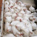 FF656446-9BE3-4867-A8F5-54D473A8D3DC